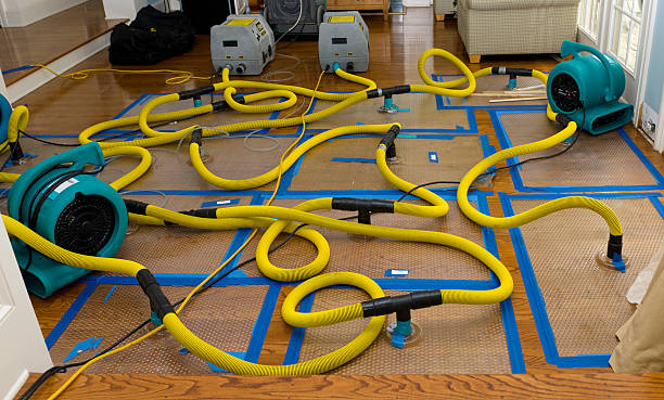 Professional Water Damage Repair technician working in Bailey Island, ME